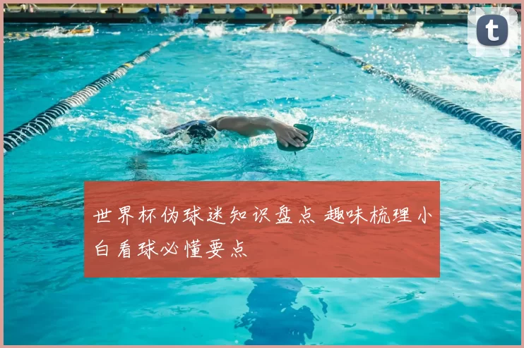 世界杯伪球迷知识盘点 趣味梳理小白看球必懂要点