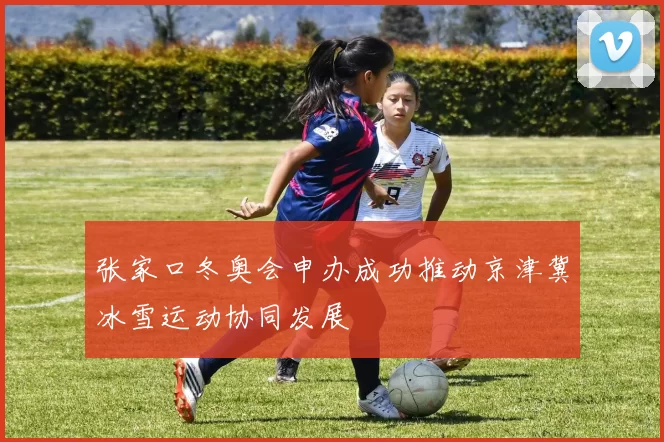 张家口冬奥会申办成功推动京津冀冰雪运动协同发展
