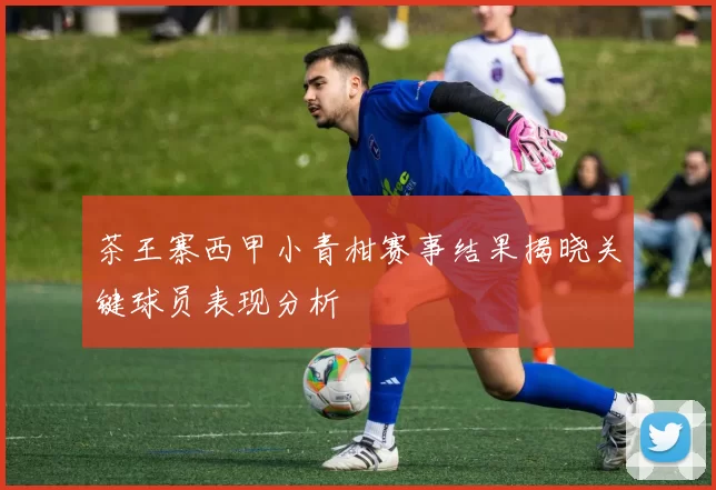 茶王寨西甲小青柑赛事结果揭晓关键球员表现分析