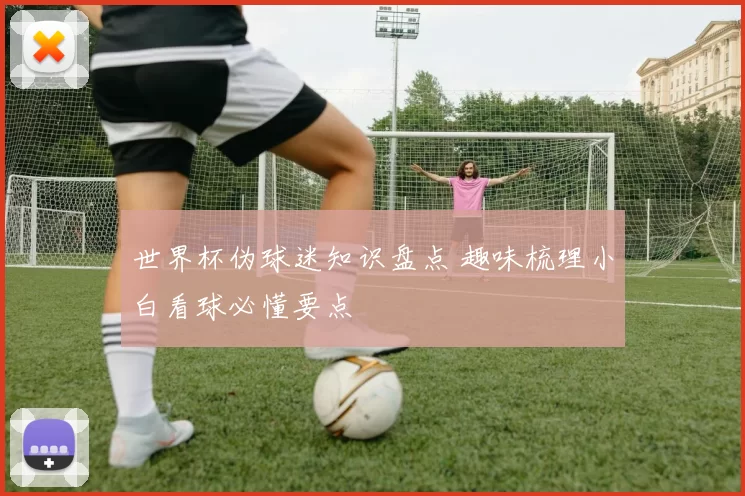 世界杯伪球迷知识盘点 趣味梳理小白看球必懂要点